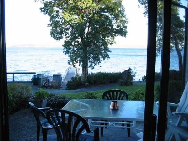 View from Patio