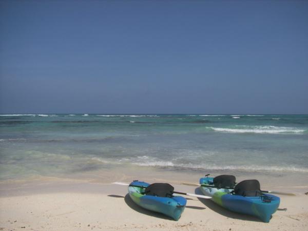 Explore the adventurous Caribbean sea