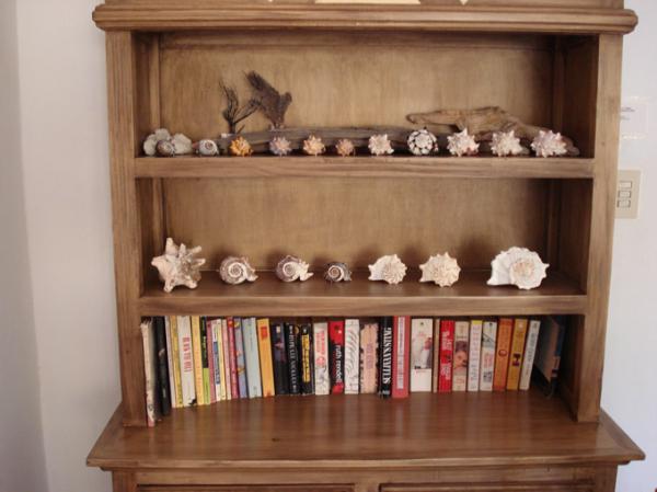 Book Shelf 