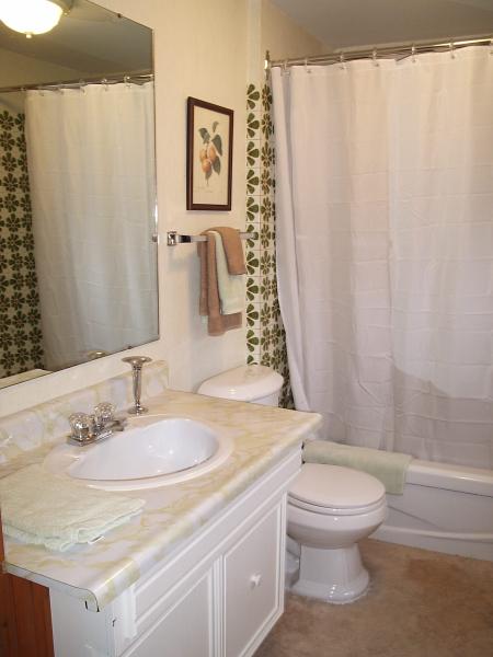 Main Floor Bath