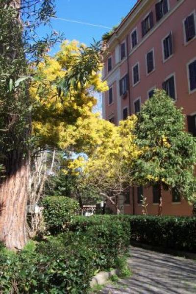 Another View of Garden