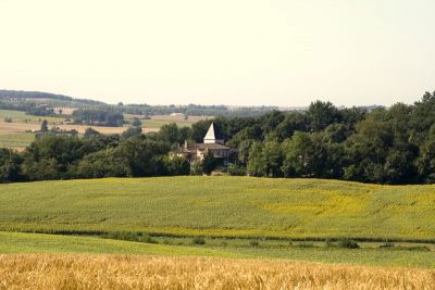 view of chateau from afar
