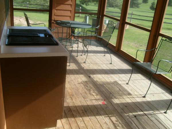 Screened gas grill & patio furniture