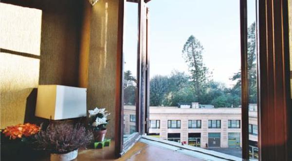Window View