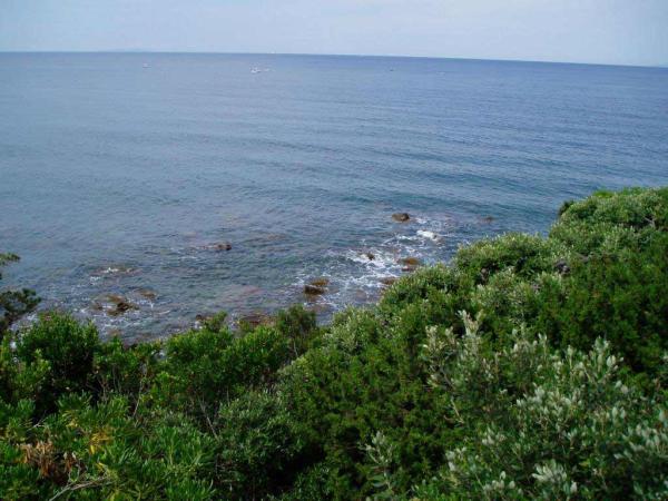 Another Ocean View