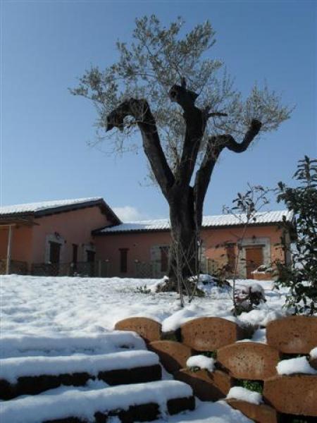 View in Winter Season