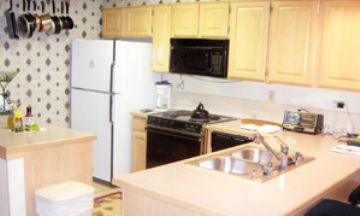 Breckenridge, Colorado, Vacation Rental Condo