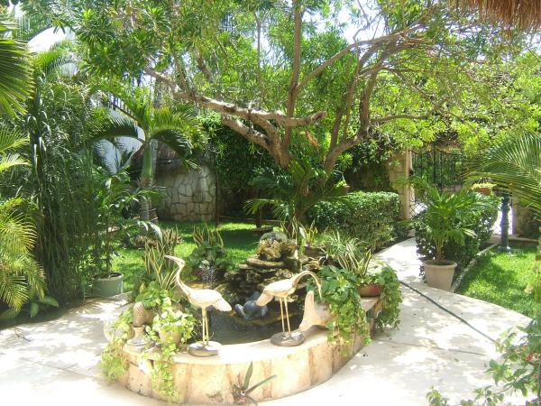 Fish Pond 
