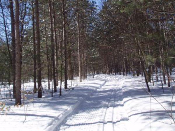 Another View in Winter