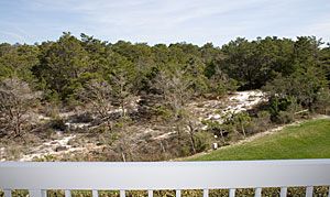 Destin, Florida, Vacation Rental Condo