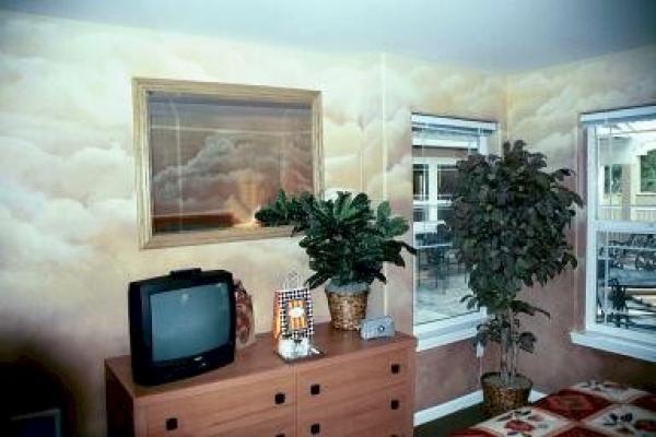 TV in Living Room