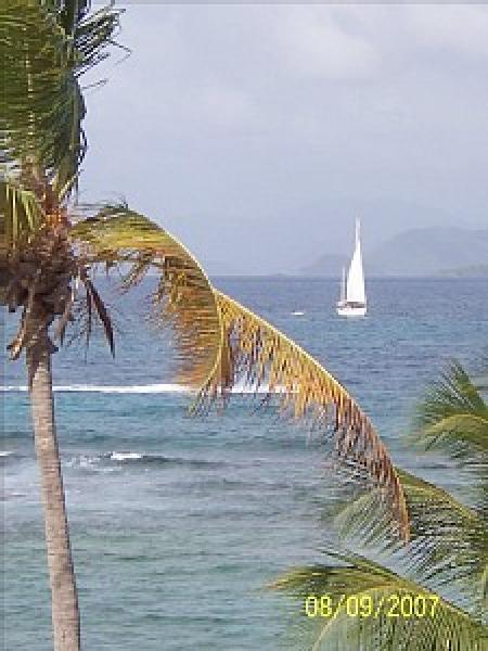 Saphire Beach, St Thomas, Vacation Rental Condo