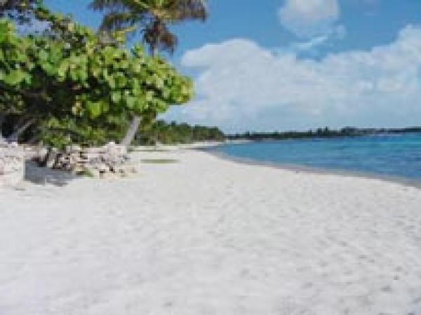 Beach View
