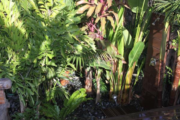 Outdoor Shower 