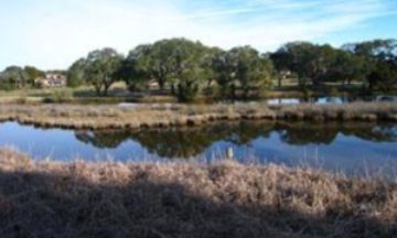 Seabrook Island, South Carolina, Vacation Rental House