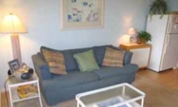 Isle of Palms, South Carolina, Vacation Rental Condo