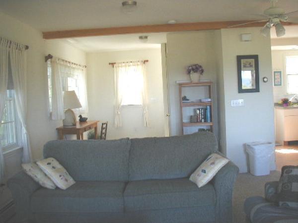 Sleep Sofa in Living Room for Overnight Guests 