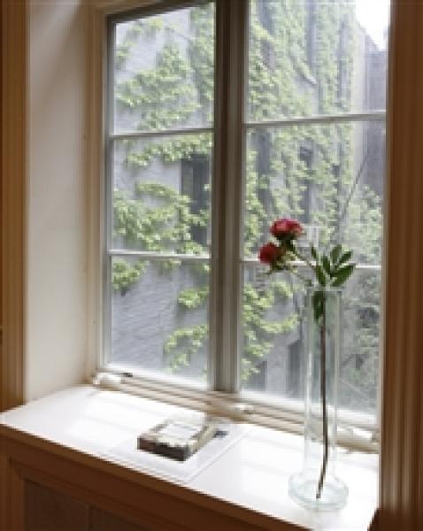 Window