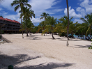 Down the Beach from D Building