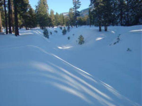 View Behind the Cabin