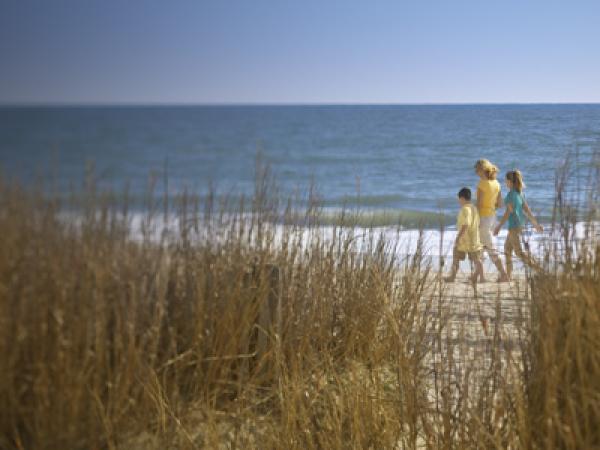 Beach View