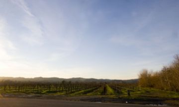 Healdsburg, California, Vacation Rental House