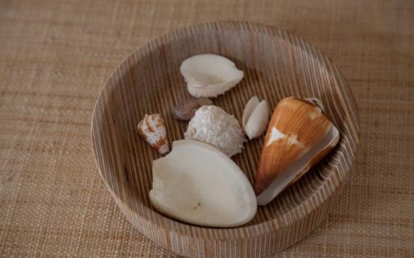 Shells