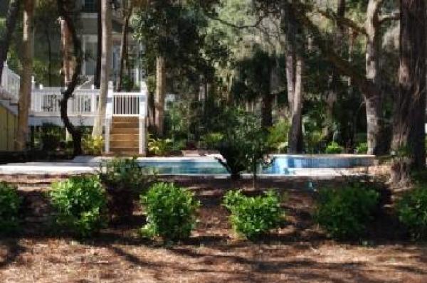 Yard and Pool