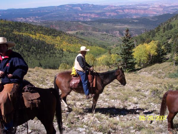 Horse Riding