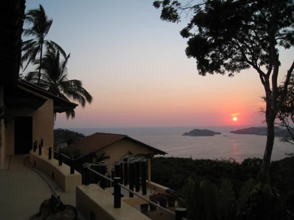 Sunset and palms