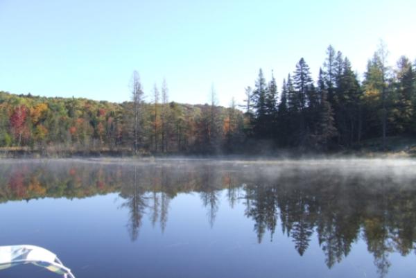 Lake View