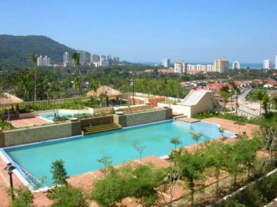 View of Grounds