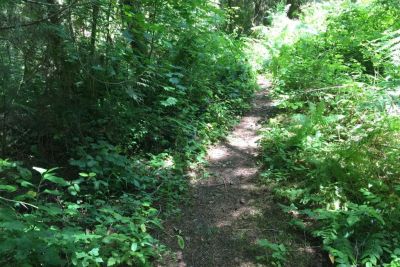 Community trail