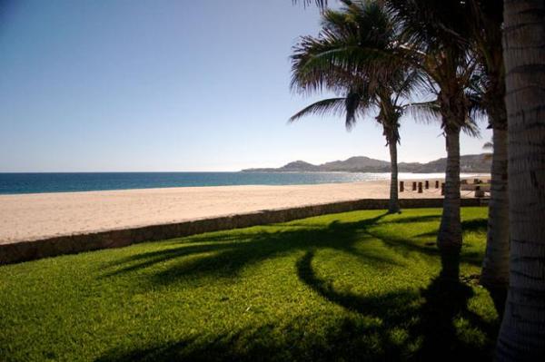 Beach View