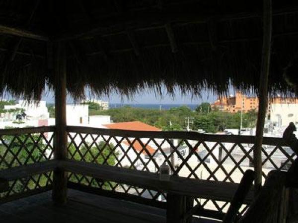 Palapa Ocean View
