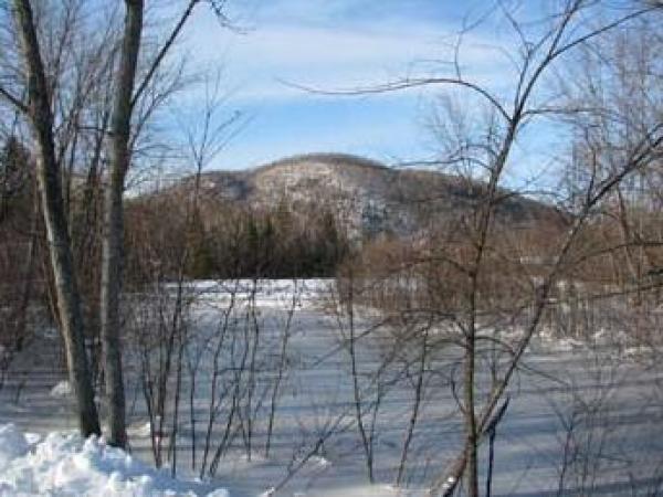 Area Surrounding the Chalet