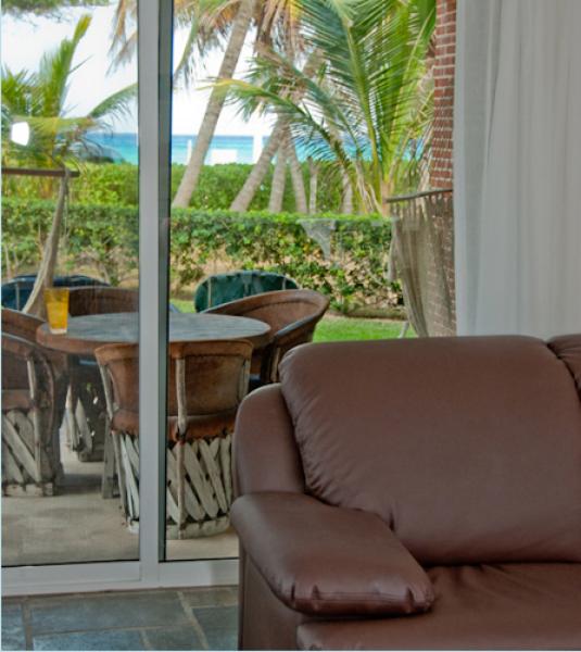 Window View