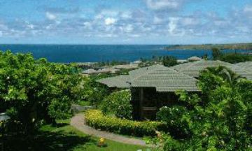 Kapalua, Hawaii, Vacation Rental Condo