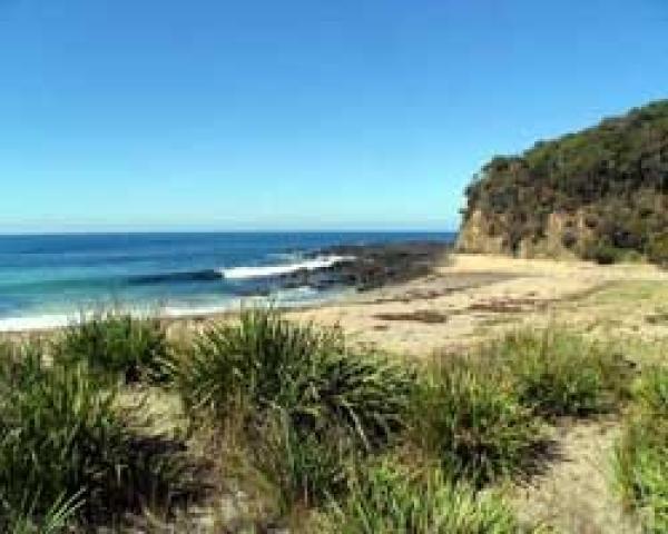 Ocean View