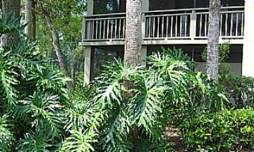 Bonita Springs, Florida, Vacation Rental Condo