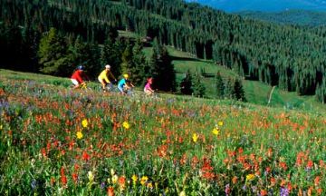 Keystone, Colorado, Vacation Rental Condo