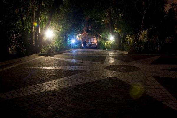 Garden by night