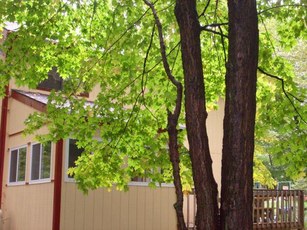 Rear view of 4 season porch and rear deck.