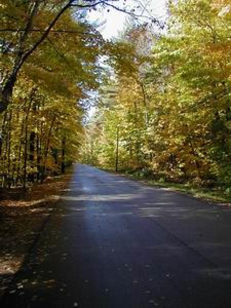Road