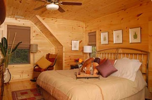 Asheville, North Carolina, Vacation Rental Cabin