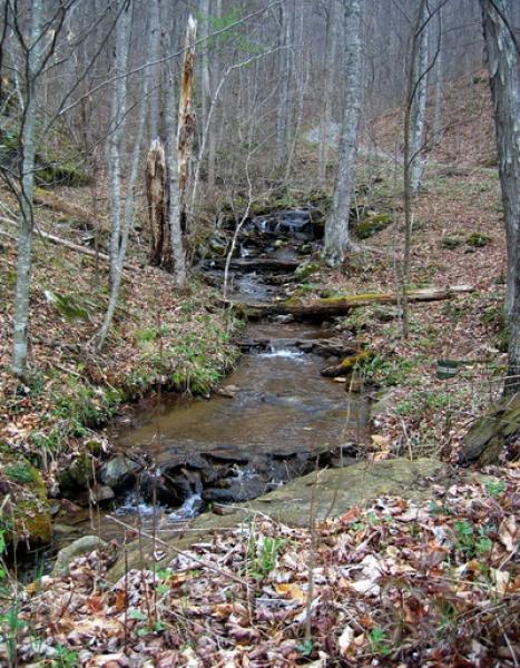 Stream Near House