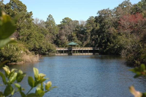 ourdoor grounds