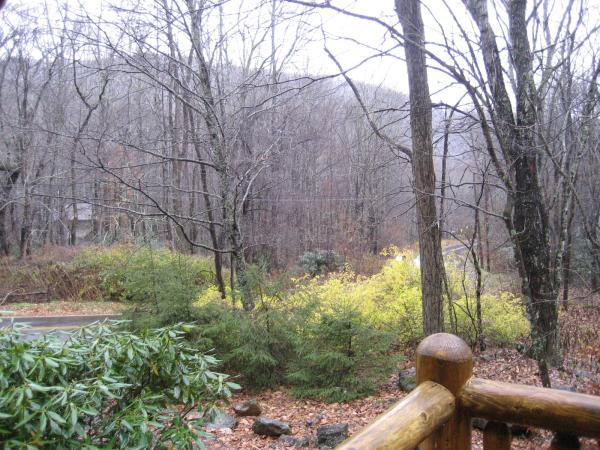 View from Front porch