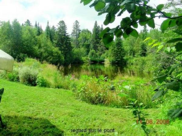 Greeny View