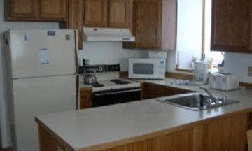 Telluride, Colorado, Vacation Rental Condo